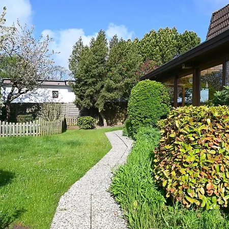 Ferienhaus Vogelnest